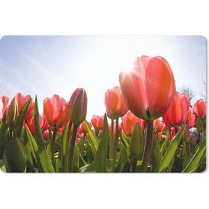Bureau mat - Rode tulpen en het zonlicht - 60x40