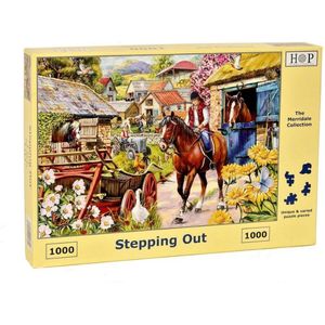 Stepping Out Puzzel 1000 stukjes