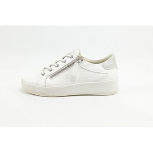 DLSport 6501 versione 01 sun WIT