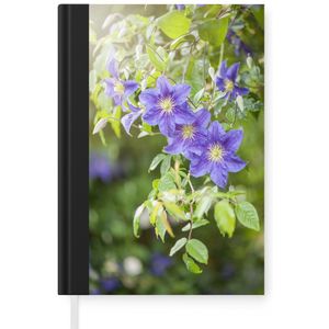 Notitieboek - Schrijfboek - Paarse bloemen aan een klimplant - Notitieboekje klein - A5 formaat - Schrijfblok