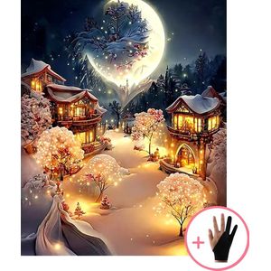 HobbyMania Schilderen Op Nummer Volwassenen - Magische Winter - Maan - Inclusief Verf Penselen en Tekenhandschoen - Kleuren Op Nummer - Paint By Number Volwassenen - 40x50 cm