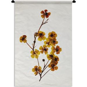 Wandkleed Gedroogde bloemen - Gedroogde gele plant op witte achtergrond Wandkleed katoen 120x180 cm - Wandtapijt met foto XXL / Groot formaat!