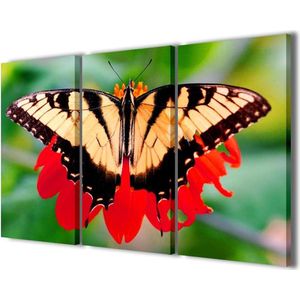 Prints op Canvas - Dieren Vlinder - Moderne meubels - Klaar om op te hangen - 120x90cm