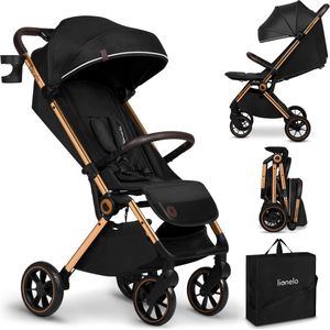 Cloe Opvouwbare lichtgewicht kinderwagen voor een kind van 0 tot 22kg Buggy met verstelbare rugleuning, slaapfunctie, 5-punts veiligheidsgordels, grote zwenkwielen, klamboe, waterdicht