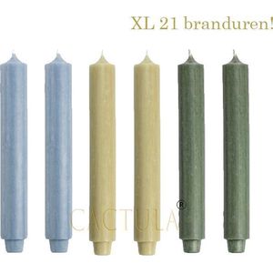 Cactula Dinerkaarsen XL 3,2 x 30 cm in 3 kleuren Bomen | Blauw / Olijf / Oliegroen 21 BRANDUREN
