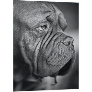 WallClassics - Vlag - Bordeaux hond Zwart / Wit - 70x105 cm Foto op Polyester Vlag