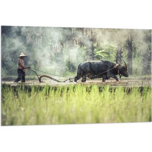 WallClassics - Vlag - Aziatische Boer aan het Werk - 105x70 cm Foto op Polyester Vlag