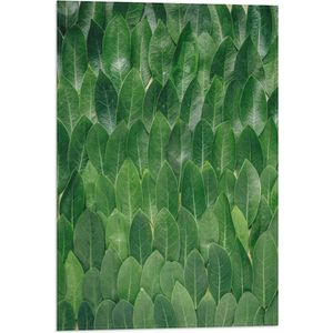 WallClassics - Vlag - Groene Blaadjes - 40x60 cm Foto op Polyester Vlag