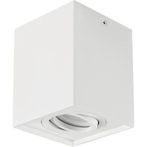 Hary Opbouwspot - Vierkant - Plafondspot past over centraaldoos - GU10 - 1 Lichtpunt - Wit - Spotjes voor woonkamer, slaapkamer of keuken.
