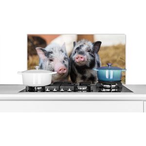 Spatscherm keuken 90x45 cm - Kookplaat achterwand Varken - Dieren - Varkentje - Muurbeschermer - Spatwand fornuis - Hoogwaardig aluminium