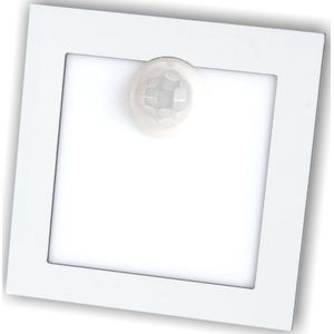 LED trapverlichting / verlichting trap / wandverlichting / trapspots Q1 WIT MET SENSOR