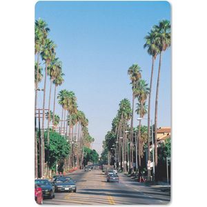 De rijen met palmbomen langs een straat