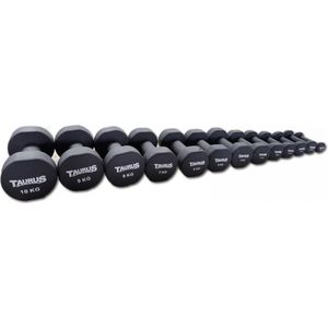 Taurus Neopreen Studio Trainingshalter 2 kg - per stuk – dumbbell – dumbell - halter – earobics – earobic – pumptraining