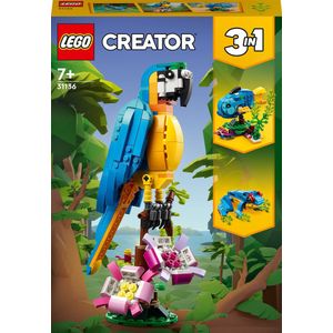 LEGO Creator 3in1 Exotische Papegaai - Kikker - Vis Dieren Speelgoed Set voor Kinderen - 31136