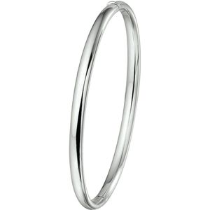 Bangle Scharnier Ovale Buis 4 X 60 Mm