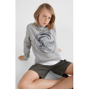 O'Neill Sweatshirts Boys CIRCLE SURFER HOODIE Grijs 164 - Grijs 60% Gerecycled Polyester, 40% Katoen