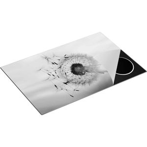 Chefcare Inductie Beschermer Paardenbloem tijdens Zonsondergang - Zwart Wit - 78x52 cm - Afdekplaat Inductie - Kookplaat Beschermer - Inductie Mat