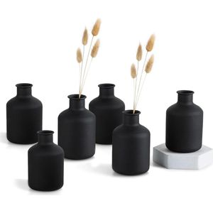 Mini Metalen Vaas Set van 6 - Moderne Matte Vaas voor Kunstmatige Gedroogde Bloemen - Decoratieve Cilindervazen voor Woonkamer Eettafel Slaapkamer