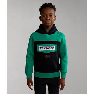 Napapijri Burgee W 2 Sweatshirt Groen 14 Years Jongen