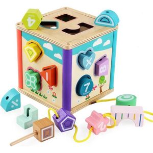 ZaciaToys Kleurrijke Vormenstoof - Steekkubus - Sorteerhuisje - Educatief speelgoed Kinderen - Puzzel - Motoriek - Vormherkenning en Concentratie - Houten speelgoed