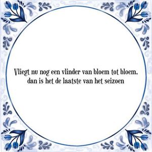 Tegeltje met Spreuk (Tegeltjeswijsheid): Vliegt nu nog een vlinder van bloem tot bloem, dan is het de laatste van het seizoen + Kado verpakking & Plakhanger