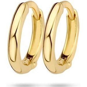 7221YGO Oorbellen 14 krt geelgoud