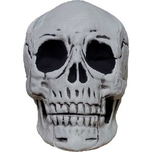 Fjesta Halloween Schedel - Halloween Decoratie - Wit - 20x27x22cm
