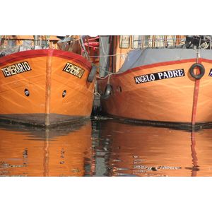 Dibond - Zee / Water in oranje / bruin / beige / wit / zwart - 80 x 120 cm