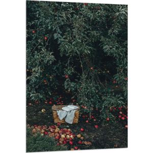 WallClassics - Vlag - Mandje voor Appels Plukken - 80x120 cm Foto op Polyester Vlag