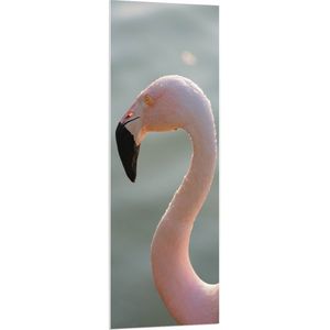 WallClassics - PVC Schuimplaat - Gezicht van Roze FLamingo - 50x150 cm Foto op PVC Schuimplaat (Met Ophangsysteem)