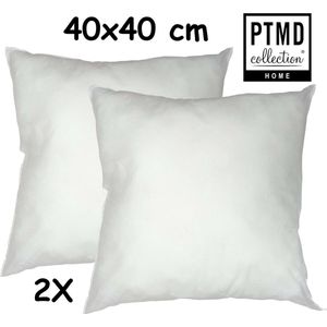 PTMD - Vulkussen -Binnenkussen - Voor sierkussens - Rijkelijk gevuld met hollow Fill - 40 x 40 cm - 2 stuks
