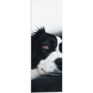 WallClassics - Vlag - Zwart met Witte Hond met Oranje Ogen - 20x60 cm Foto op Polyester Vlag