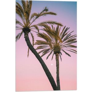 WallClassics - Vlag - Twee Palmbomen bij Roze-Blauwe Lucht - 40x60 cm Foto op Polyester Vlag