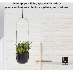 Hangende plantenbak Zwart - Bolo design - Umbra Flower Hanger