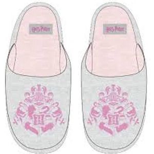 Slippers / Slippers From Harry Potter Size 28/29