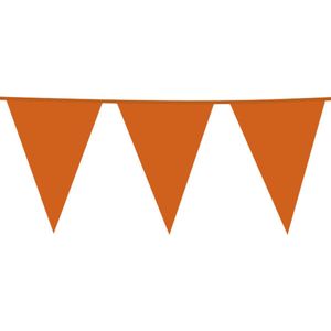 Giga Vlaggenlijn Oranje 30x45cm 10m - Vlaggen XL Groot thema feest festival