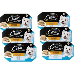 6x Cesar Senior 10+ kuipje in Gelei Multipack - Hondenvoeding - 600g