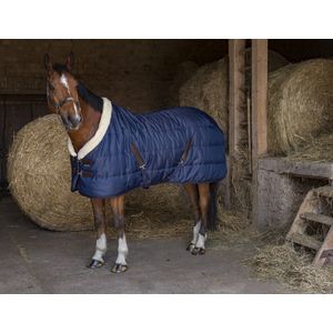 Equi-Theme Staldeken Teddy Groen/Bruin - 6.6 (195) - Regendeken | Staldekens paard