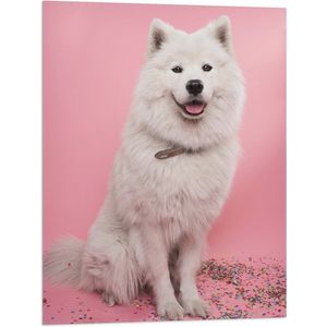 WallClassics - Vlag - Portret van Witte Hond tegen Roze Achtergrond met Confetti - 60x80 cm Foto op Polyester Vlag