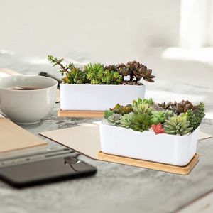 Witte keramische plantenpotten, plantenpotten voor binnen en buiten, set van 2 kleine cactusbakken, bonsaipotten, bloempotten met drainage en bamboe schaal (groene plant)