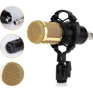 Travor professionele microfoon – audio apparatuur- helder geluid – dubbele audiopoort - met microfoon standaard – buigzaam en verstelbaar in hoogte