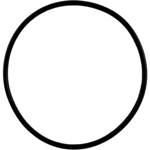O-RING KONWERTERA 65.35mm x 2.62mm 45RFE 545RFE 66RFE