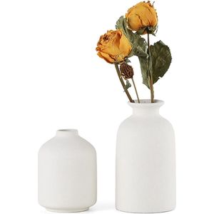 Witte keramische vazen, set van 2 kleine bloemenvazen voor decoratie, moderne rustieke boerderij, huisdecoratie, decoratieve vazen voor pampasgras, gras en gedroogde bloemen, ideeënrek, tafel, boekenkast