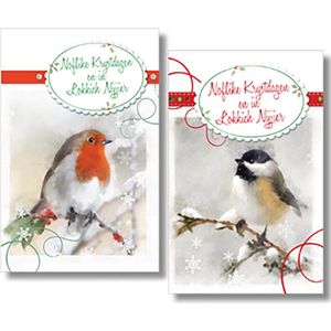 MGPcards - 2 doosjes à 10 Luxe dubbele wenskaarten - Friese tekst - Kerst/Nieuwjaar - Foliebewerking - Witte envelop - 10.5 x 16 cm - 2 Motieven per doosje