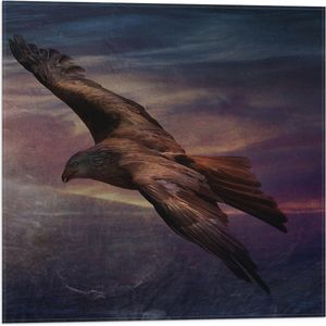 WallClassics - Vlag - Golden Eagle Vliegend - 50x50 cm Foto op Polyester Vlag