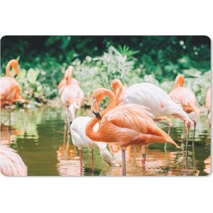 Bureau mat - Flamingo's staan in het water - 60x40