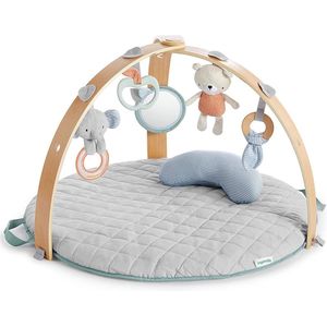 Bright Starts Ingenuity Speelkleed - Babygym - Activiteiten Gym - Cozy Spot  - Speeltapijt baby - houten boog