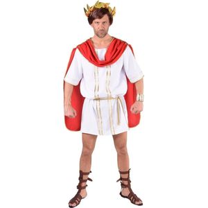 Griekse & Romeinse Oudheid Kostuum | Neergedaald Van De Olympus Goddelijke Griek | Man | XL | Carnavalskleding | Verkleedkleding