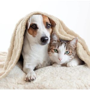 huisdierdeken voor hond of kat, zachte afwerking, zware winterdeken, fleece deken gezellig kattenbed, 120L x 100B centimeter