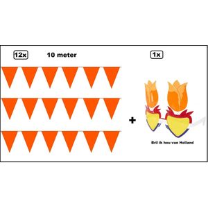 12x Vlaggenlijn oranje 10 meter + Bril Ik hou van Holland - Vlaglijn Oranje feest festival EK koningsdag thema feest voetbal hockey sport